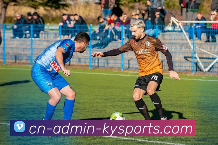 开云app发展历程