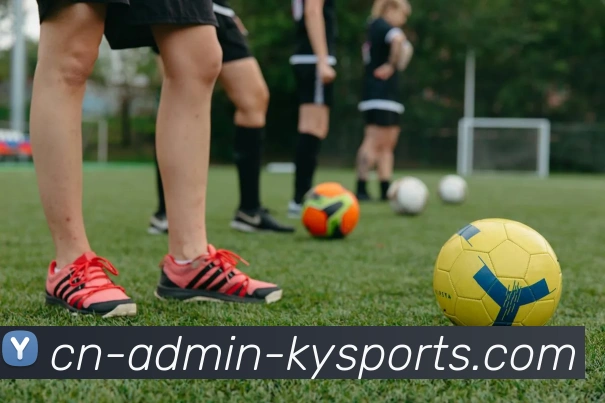 开云appAPP 封面图